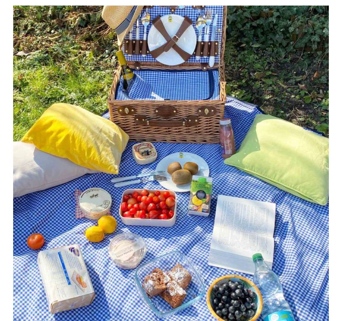 Telo da picnic